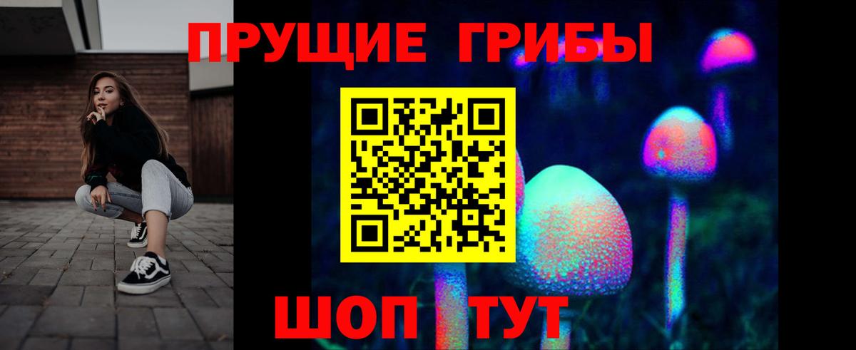 купить закладку  Псилоцибиновые грибы ЛСД  Вход с VPN  Псилоцибиновые грибы мицелий  Новокубанск 