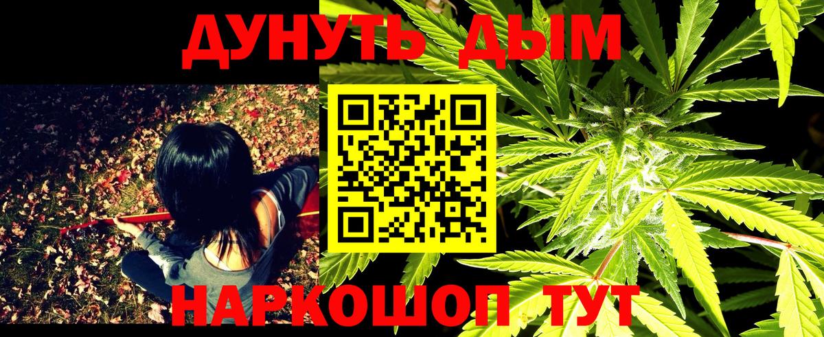 Канабис SATIVA & INDICA  МАРИХУАНА семена  Вход с VPN  Марихуана план  Новокубанск 