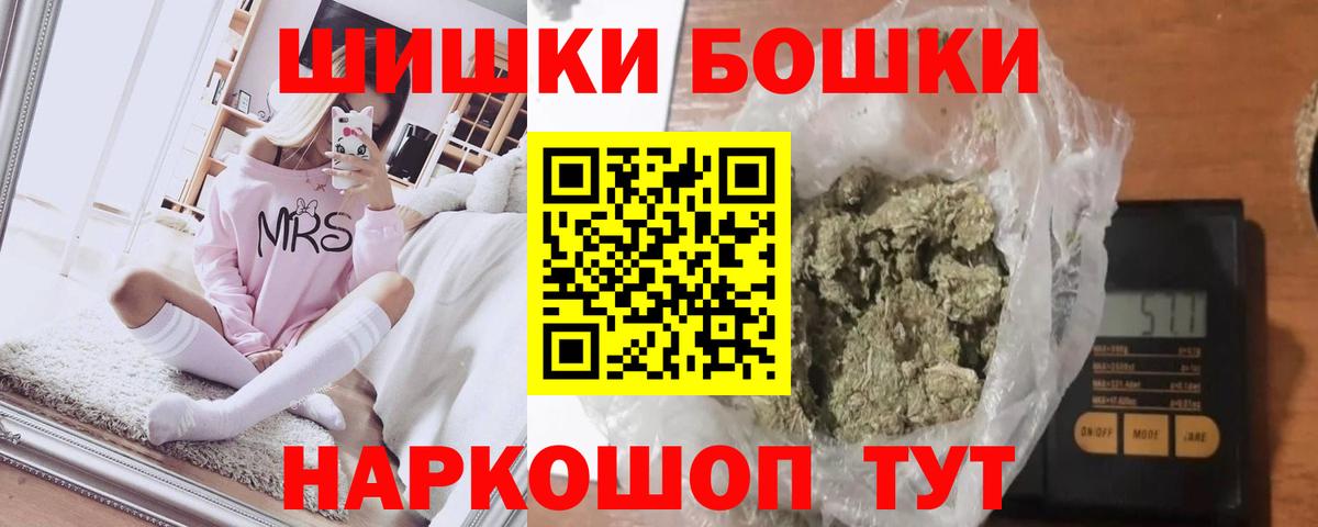 Марихуана гибрид Новокубанск